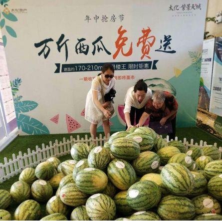 龙城吃瓜事件视频,一场网络热议的幕后真相揭秘