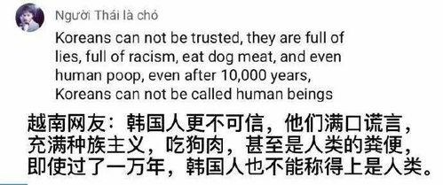 上海网络吃瓜事件视频播放,视频播放背后的热议与反思