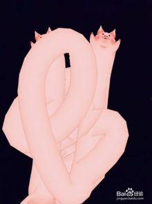 抖音特效吃瓜猪猪视频,猪猪吃瓜，萌态十足，笑翻网友