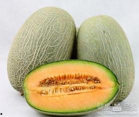 小鸭可以吃哈密瓜吗视频,揭秘哈密瓜在宠物饮食中的奥秘