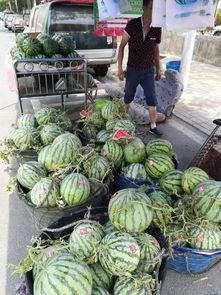 福建水院吃瓜事件视频全集