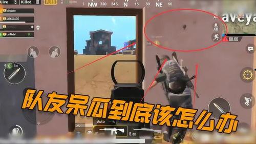 吃鸡抓大呆瓜视频大全下载