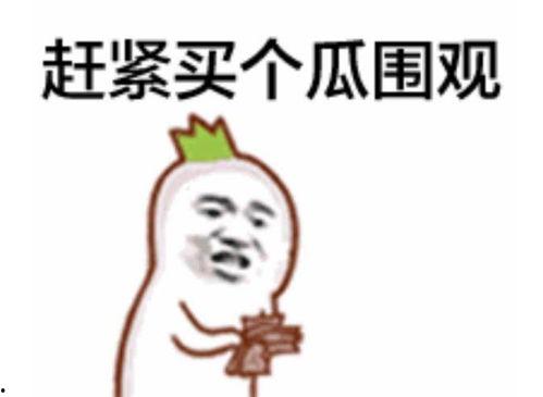 看到吃瓜表情怎么办视频,短视频中的社交现象解析