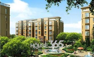 东方华庭吃瓜视频,揭秘小区生活百态